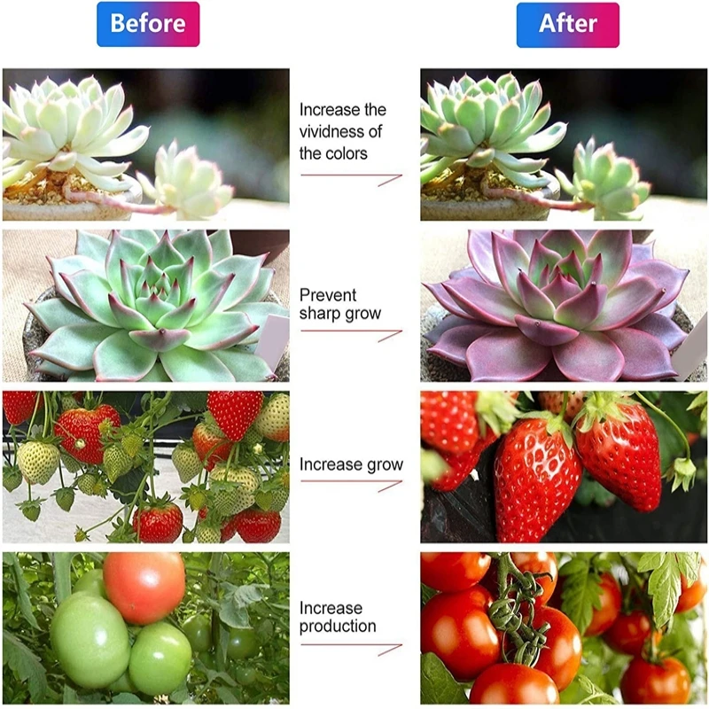 Рисунок 2 - Светодиодная Водонепроницаемая