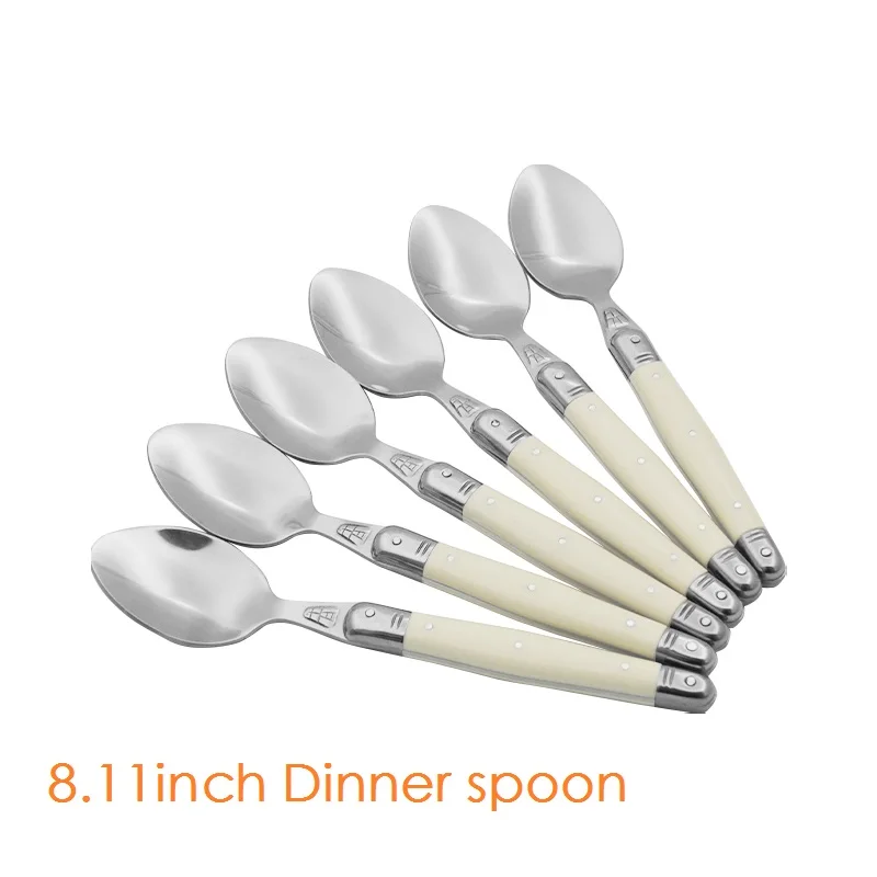 6pcs dinner spoon