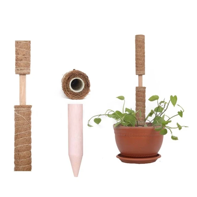 Coir Moss Plant Stake Mászó Növény Támogatja A Beltéri Tét 367A - Image 5