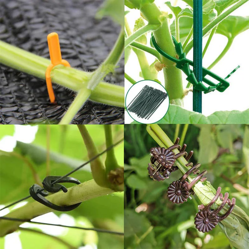 Plastic Plant Flower Support Clips Orchid Stem holder Fixing Vine Support Vegetables Tied Bundle Branch Clamping Garden Tools t