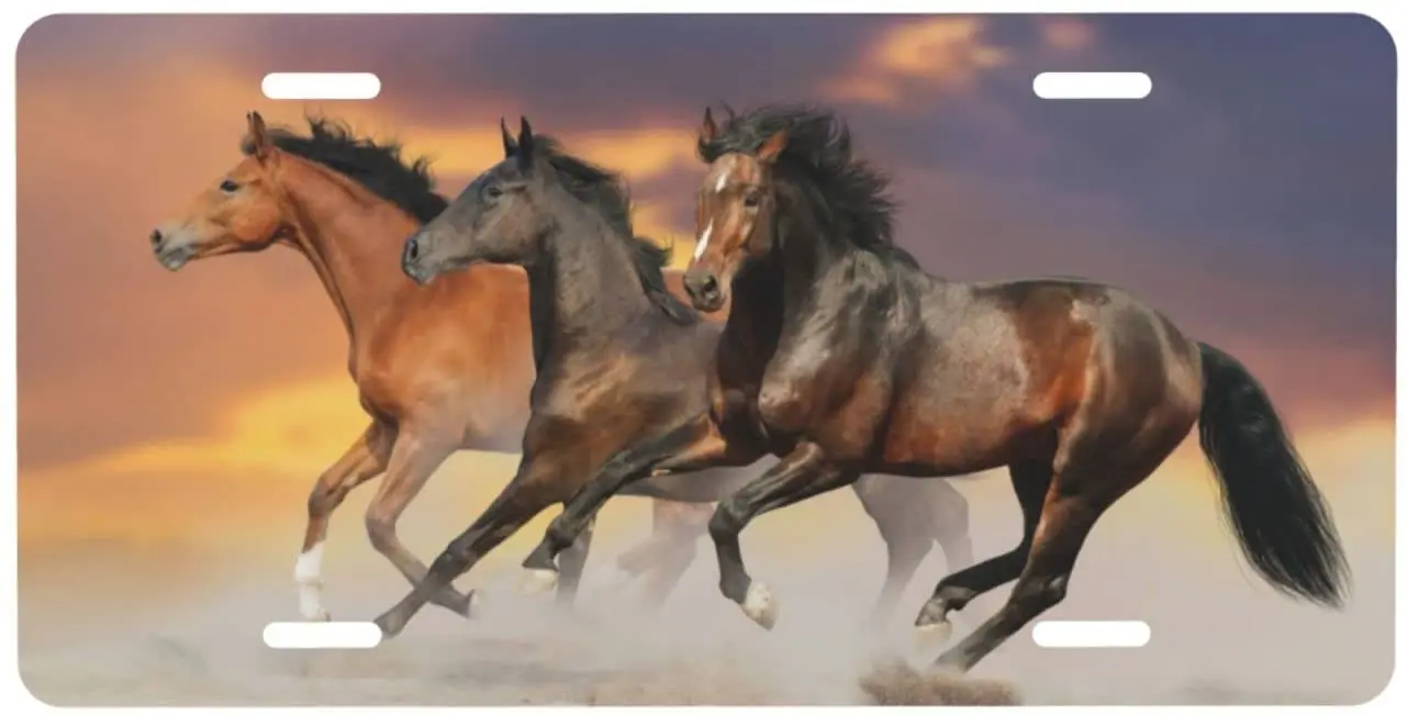 

Car Front License Plate Three Bay Horse License Plate Decorative Vanity Tag Metal Car Plate Novelty Aluminum Home Decor
