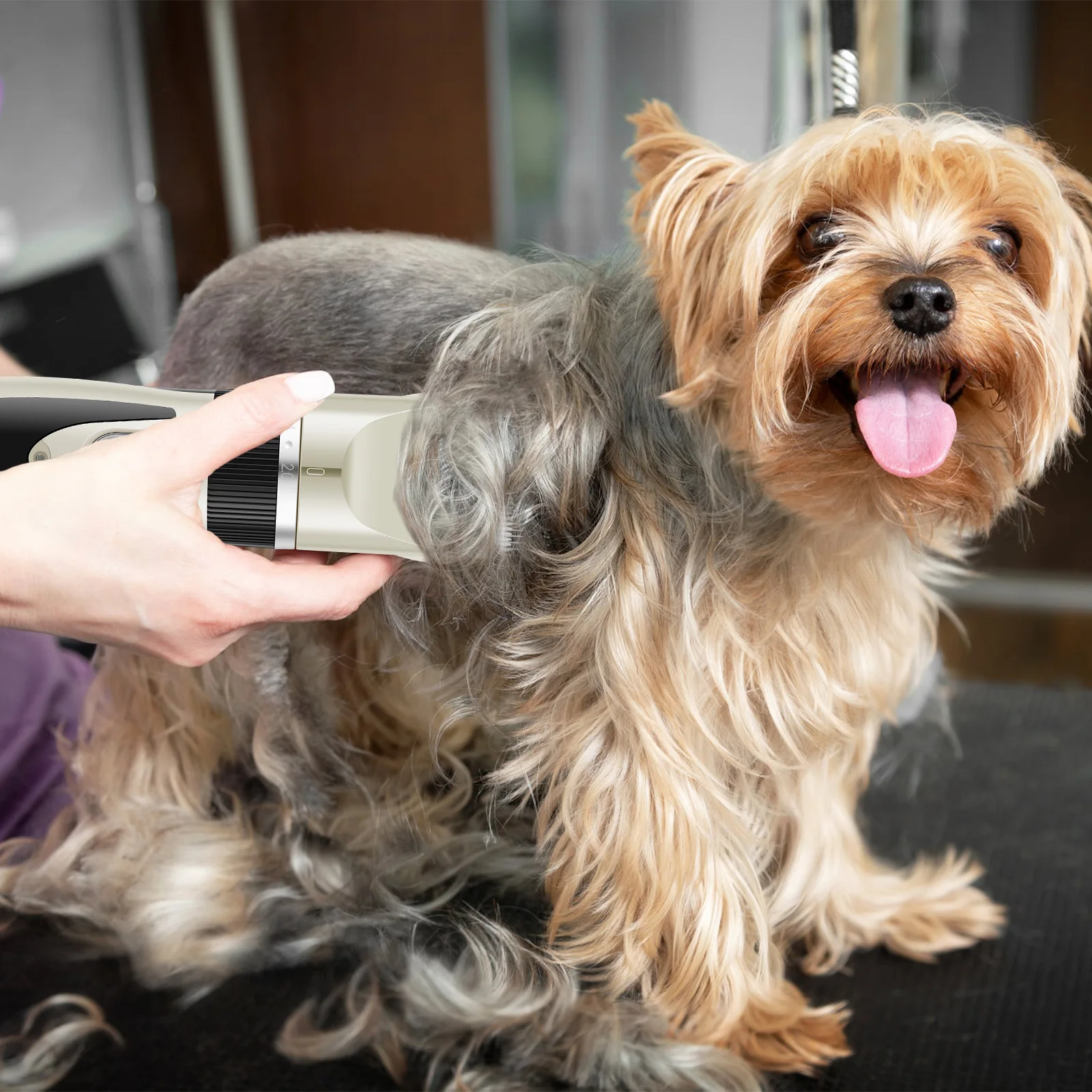 Dog Shaver Clipper com 8 Guarda Pente Baixo Ruído Dog Grooming Shaver