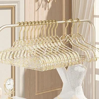 1PC Acrylic Hanger Clothing Organizer Wardrobe Pants Coat Hanger Drying Rack Transparent Gold Hook Adult Coat Hanger 1
