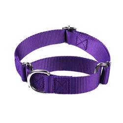 Durable Nylon Martingale Dog Collar - M - Neck 38 - 53cm (Purple)