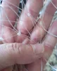 53/60/85cm Double Line Fishing Net without bracket Handheld High-density Durable Nylon Fishing Net Outdoor Fishing accessories 3