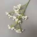 White B