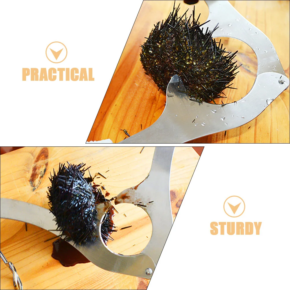 Sea ​​urchin Scissors Seafood Manual Opener Stainless Steel Metal Practical Tool