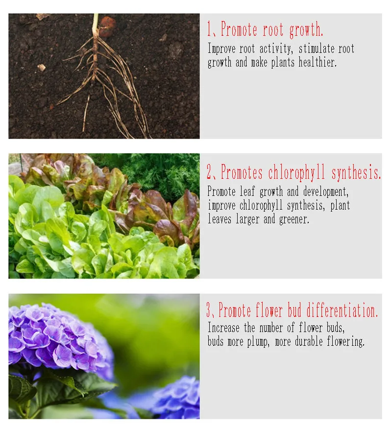 Description Picture 6 of itemGeneral-purpose Nitrogen Phosphorus and Potassium Slow-release Fertilizer Potted Flowers Succulents Organic Fertilizer