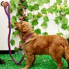 Double Strand Rope Large Dog Leashes Metal P Chain Buckle Contrast  Colorful Pet Traction Rope Collar Set Firm 1.2m Length 6