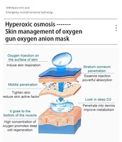 Ensemble complet de sérum booster pour le soin de la peau Hydro, pour machine de soin du visage par hydrodermabrasion, solution Antiox Beta-HD Clear Active-4 SolutionJet 6