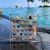 36 Grid Shell Storage Box Acrylic Mineral Stone Specimen Storage Box closet organizer jewelry organizer storage containers 3