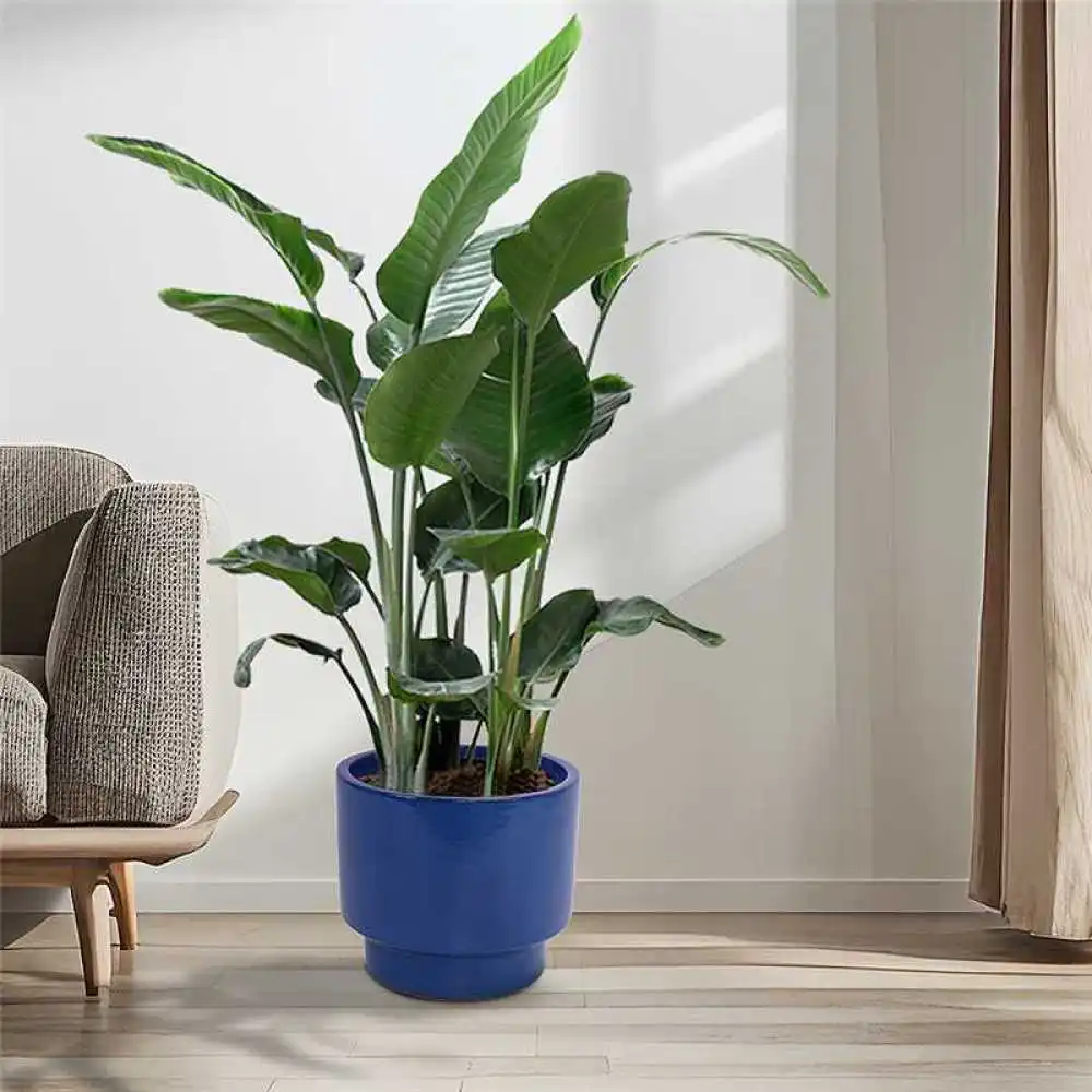 3-teiliges Handgefertigtes Einfarbig Blau Glasiertes Keramik-Pflanzentopf-Set (Ø38,1/30,5/22,9cm) Atmungsaktiver Poröser Ton-Blumentopf für Sukkulenten – Detail 6