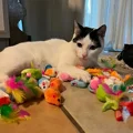 Image 6