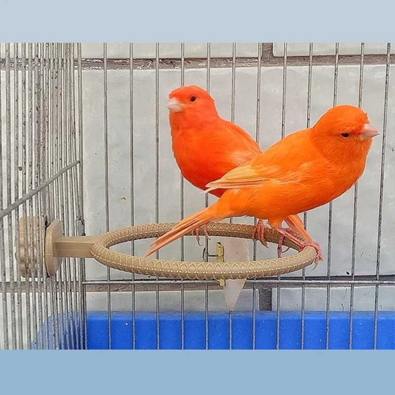 öƽ     ޹ ײ Ŵ޷ Birdbath   DropShip