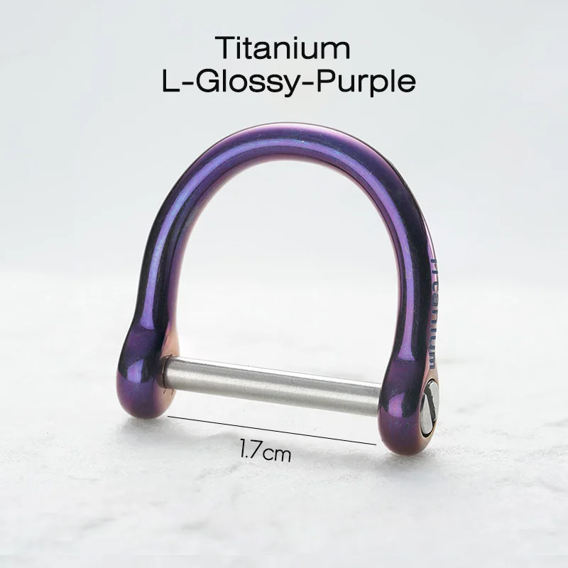 Titanium Horseshoe D-Shape Keychain Buckle - Lightweight and High-Quality EDC Accessory