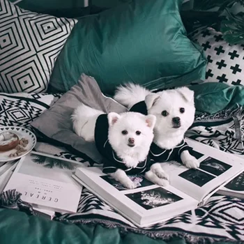 Dog Pajamas Summer Dog Clothes for Small Dogs Chihuahua Pet Shirt Clothing Ropa Perro Dogs Coat Jacket Puppy Costume Yorkshire 5