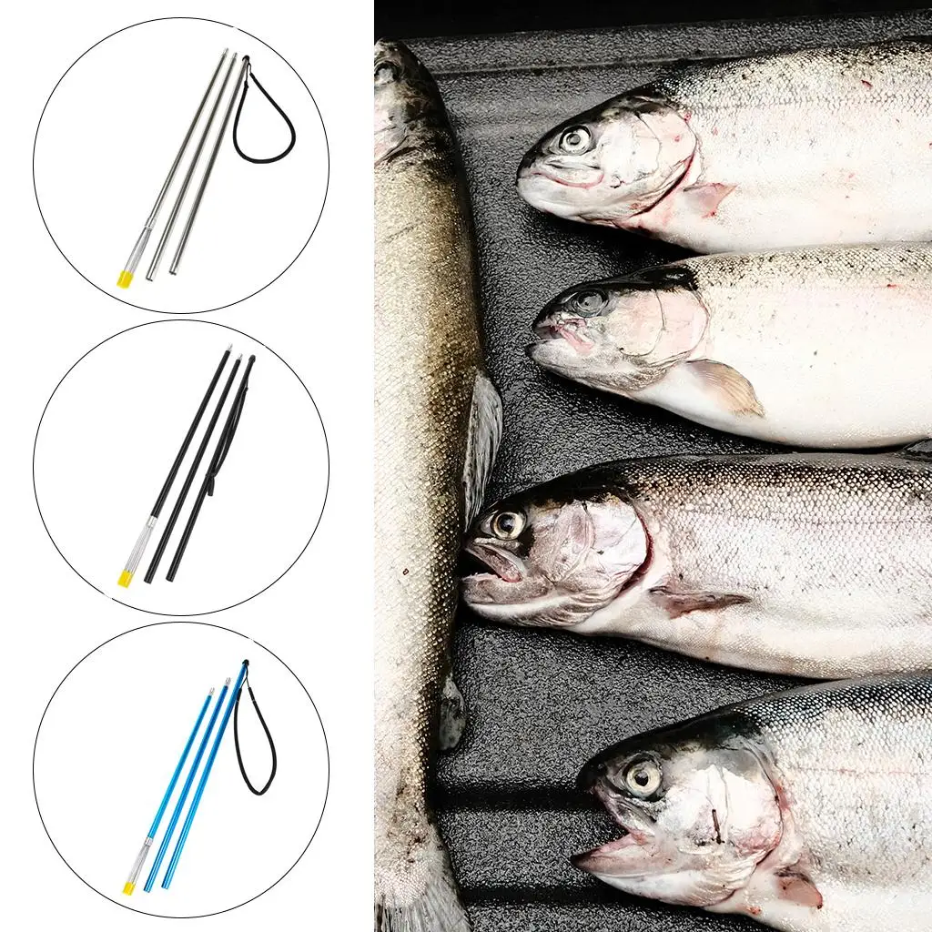 

Fishing Spears Fishing Gear Gig Telescopic Rod Hunting Fish Tool
