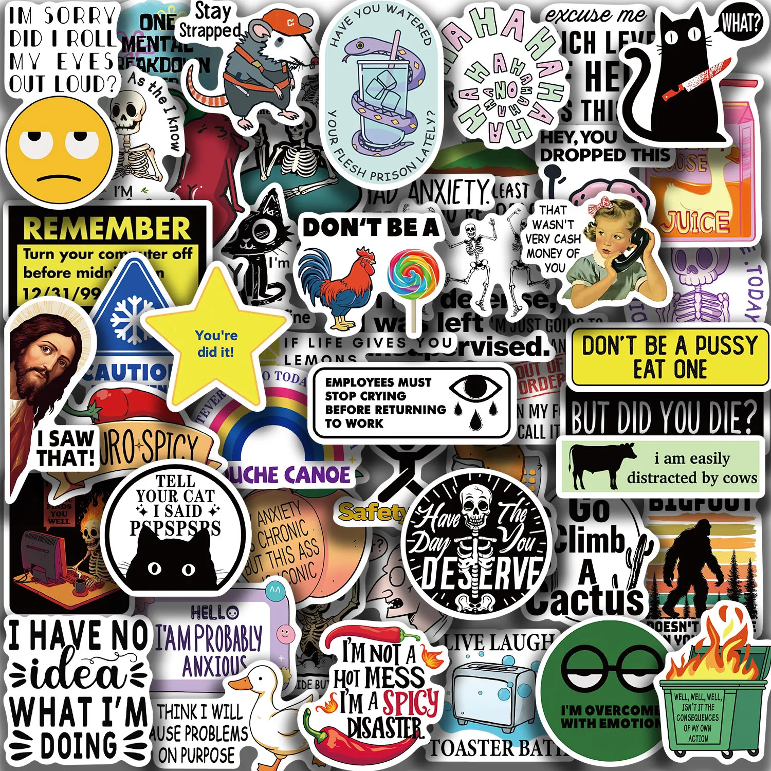 50PCS Lustige Snarky Meme Aufkleber Cartoon Aufkleber Dekoration DIY Notebook Kühlschrank Telefon Fahrrad Laptop Gitarre Graffiti Kinder Spielzeug – Detail 10