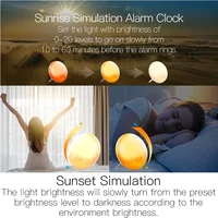 Tuya WiFi Smart Wake Up Light Workday Alarm Clock,Sunrise/Sunset Simulation 4 Alarms Snooze Function Work with Alexa Google Home 2