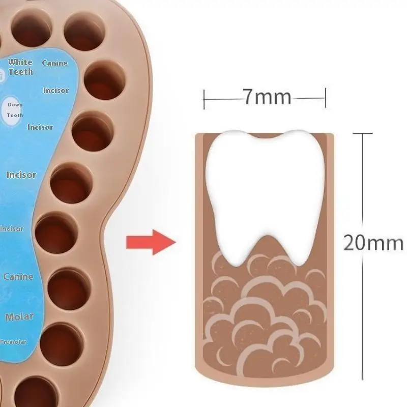 Baby Tooth Storage Box 4