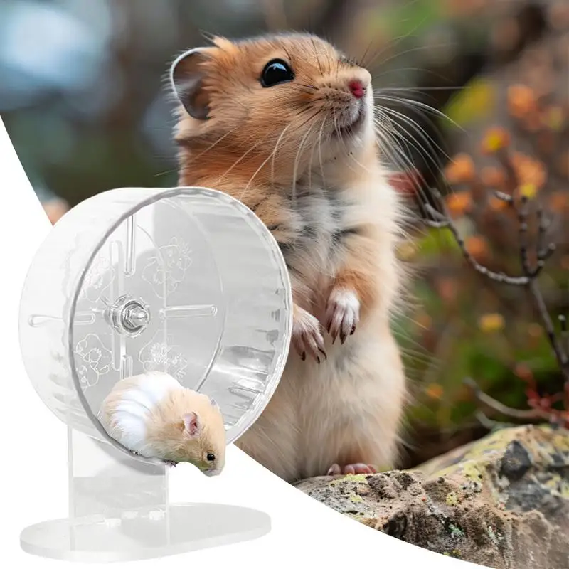 Silent Transparent Hamster Wheel for Exercise