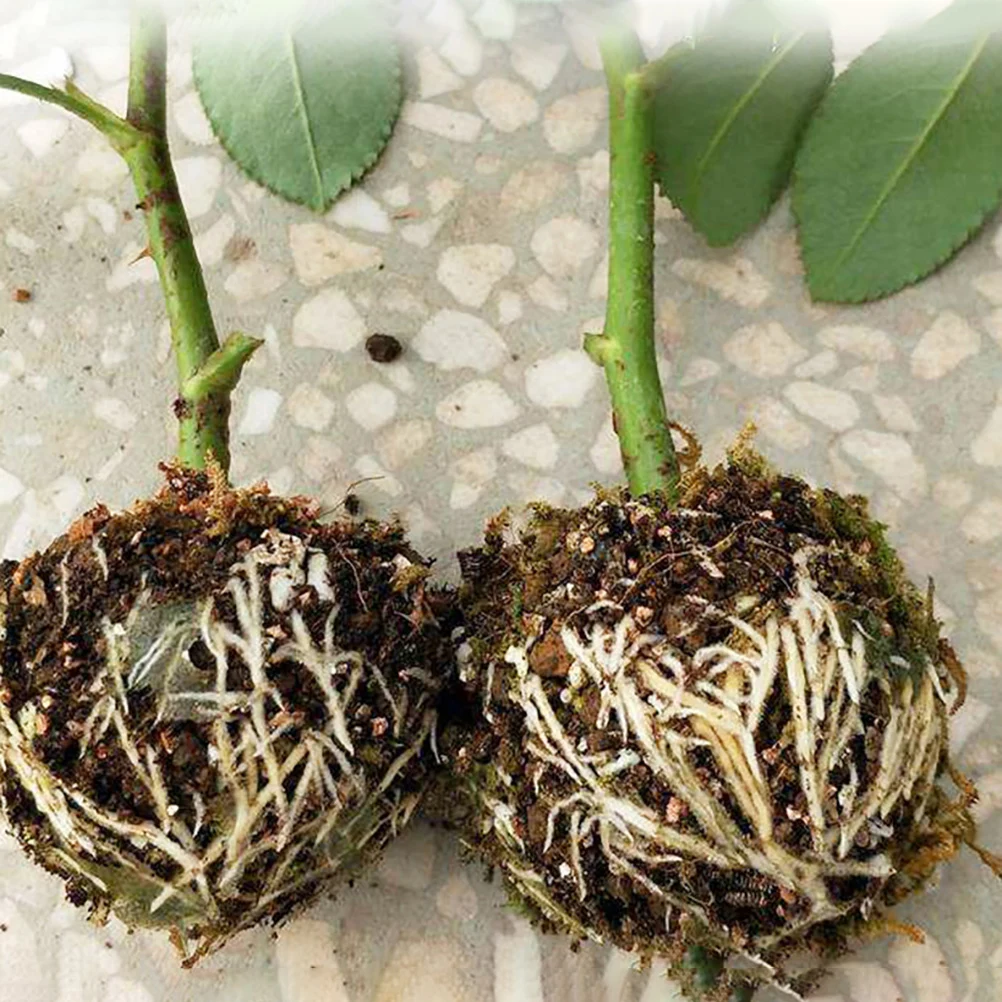3Pcs Reusable Plant Root Growing Box Cutting Grafting Rooting Ball Garden Rooting Propagation Ball S M L Breeding Equipment plant rooting box plant rooting pot