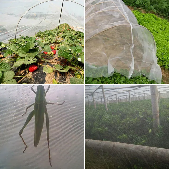 Insect Protection Net Garden Plant Insect Vegetables Fruit Flower Protection Greenhouse Cover Control Pest Anti-Bird 5