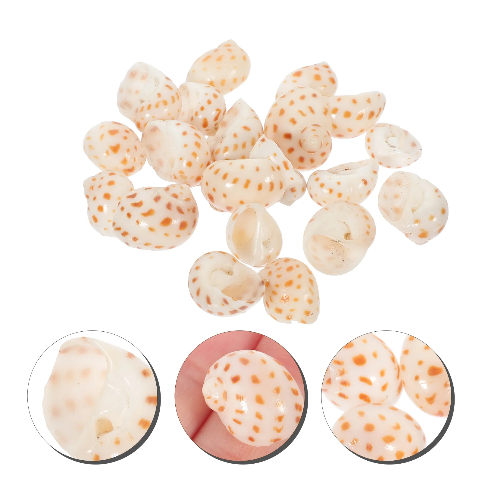 

20 Pcs Conch Decor for Fish Tank Exquisite Desktop Craft Mini Adorn Landscape Hermit Crab Shells Natural DIY