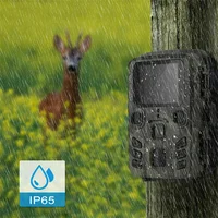 Caméra de chasse sans fil Suntekcam 20MP 1080P, vision nocturne extérieure, étanche IP65, piège photo Mini301 pour la faune 4