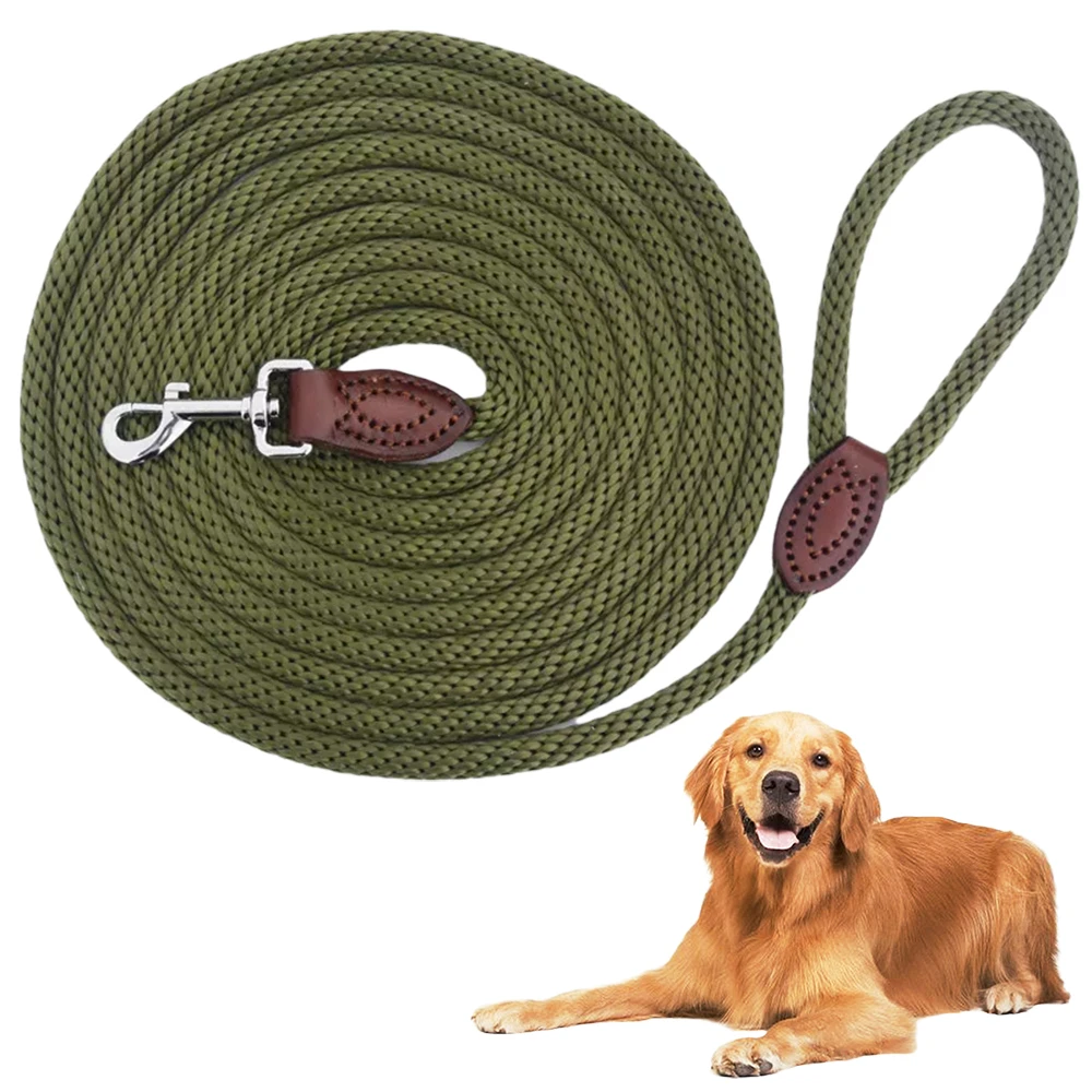 What Is The Best Lead For Dogs