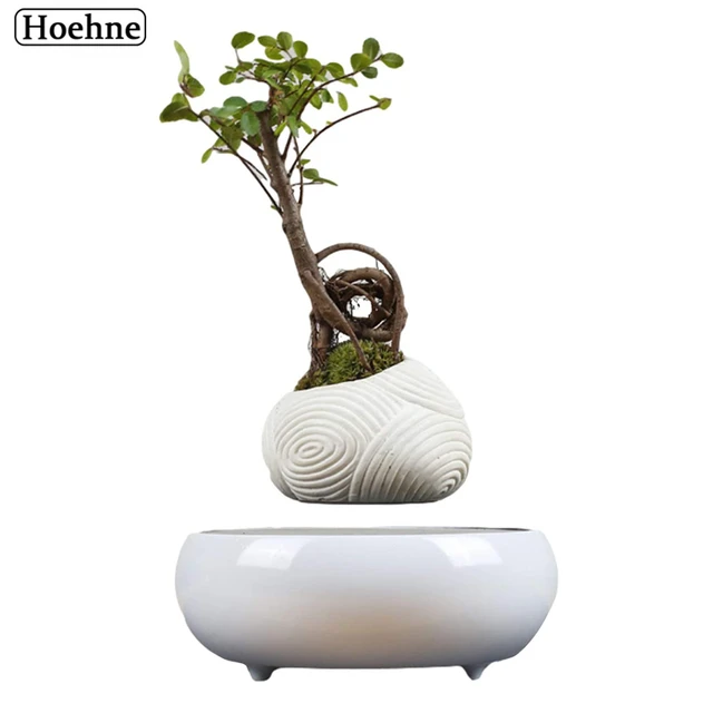 Pot de bonsaï en l'air pour plantes d'intérieur, jardinière de