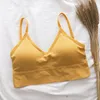 B-Yellow