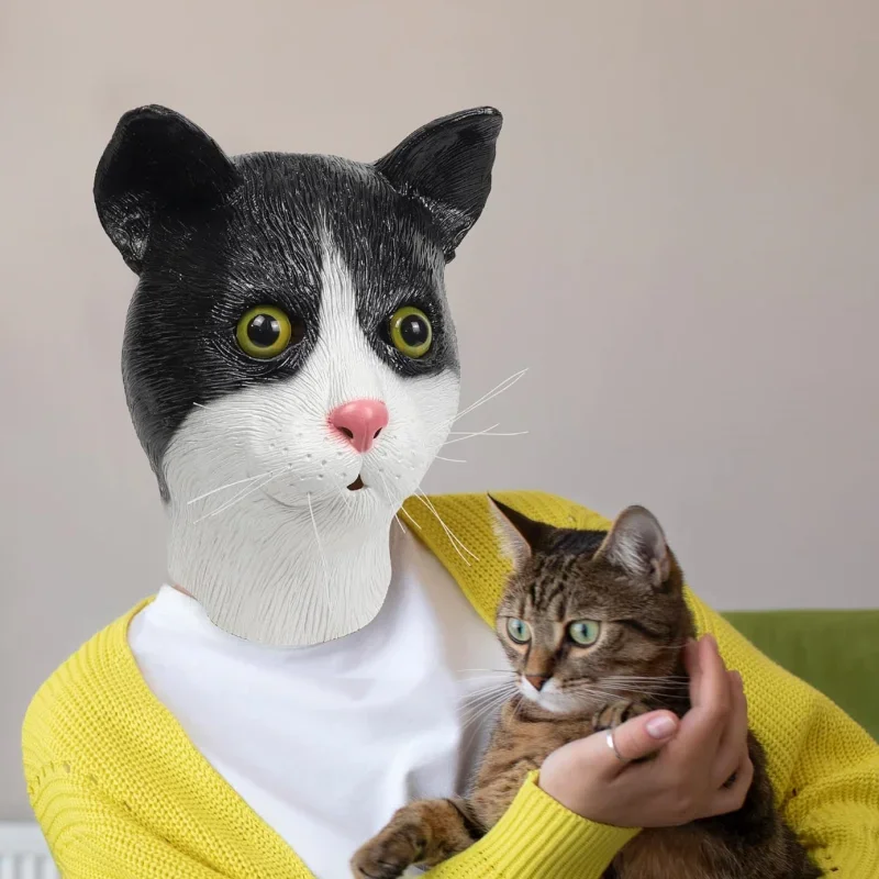 Ϳ   ũ 뺧Ƽ ִ  Ĺ ü Ӹ ũ, ҷ ڽƬ ڽ, ϼ ǿ Ƽ ǰ