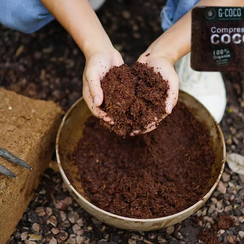 Ladrillo de coco descalzado, planta de tierra nutritiva, piedra de coco comprimida orgánica