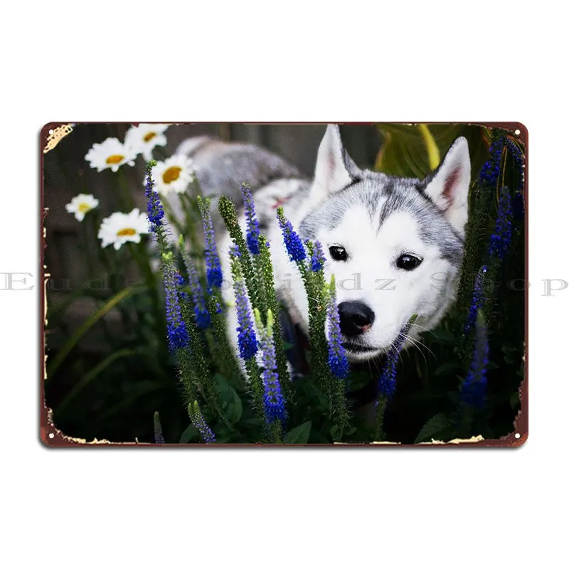 

Husky Dogs Flower Dog Gar Metal Signs Pub Wall Decor Cinema Designs Club Tin Sign Poster
