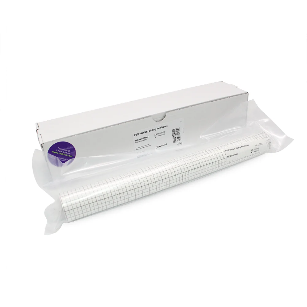

Мембрана для Western Blot ROCHE 03010040001 PVDF, 30 см * 3 м, лабораторные принадлежности для научных исследований