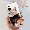 Case-c13