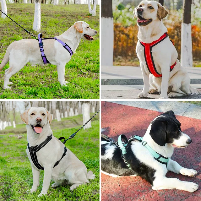 New Pet Dog Harness Reflective With Handle Easy Control Dog Vest Harness Adjustable Puppy Chest Straps for Small Medium Dogs 6
