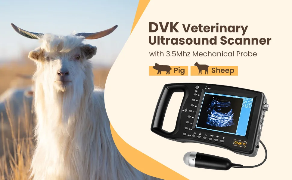 Portable Veterinary Ultrasound Scanner, Vet Pregnancy Ultra Machine with 3.5MHz
