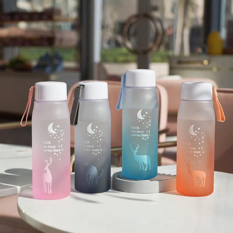 560mlPortableGradientFrostedPlasticWaterBottleLeakProofOutdoor