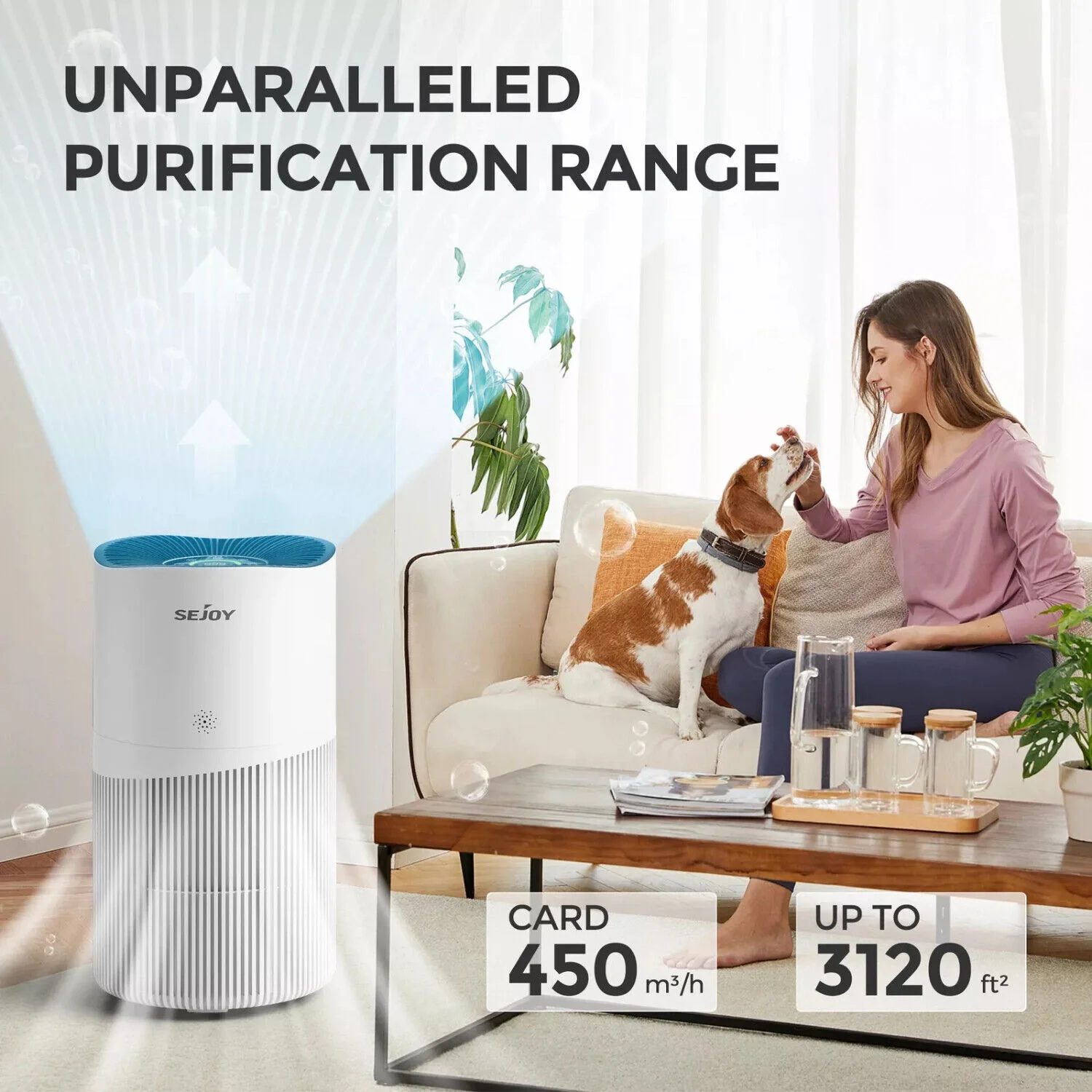 SEJOY HEPA Air Purifier Air Fresh 3 Speed for Home Allergies Dust Pollen CARB Approved Real-Time Air Quality Monitor 3