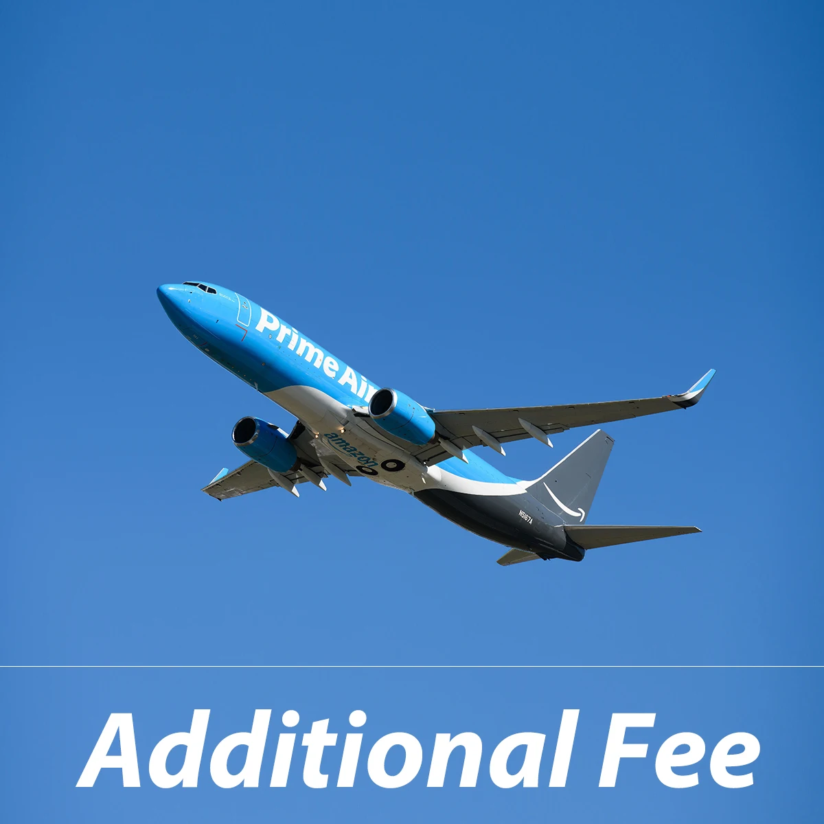 

Addition Fee