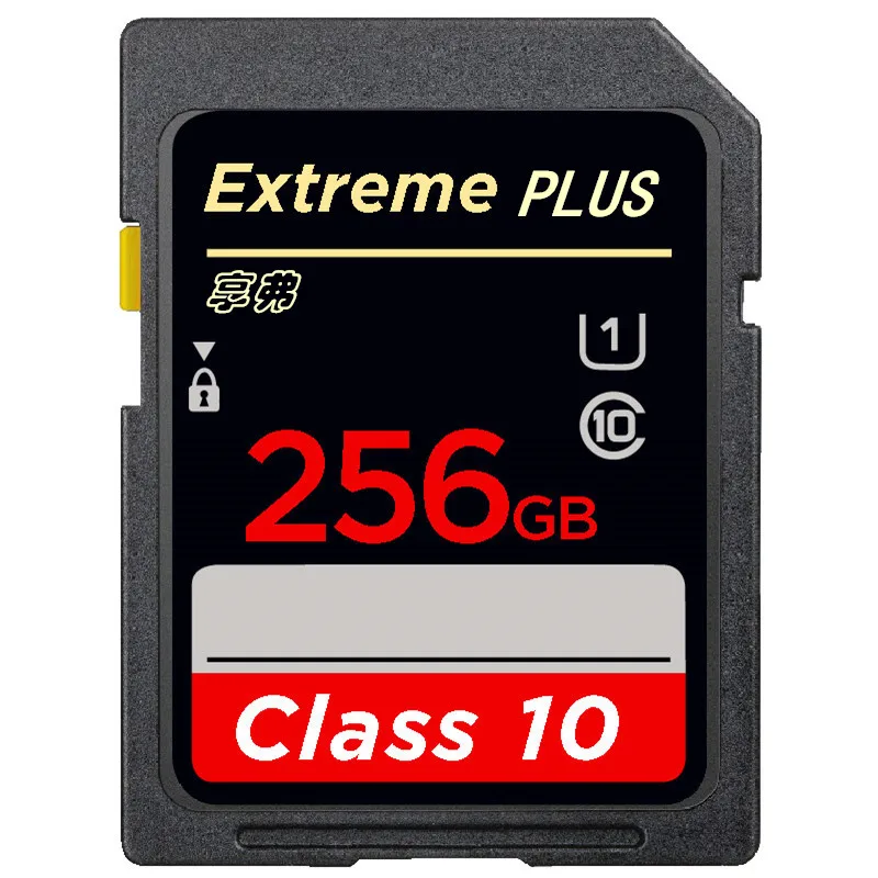 Pack de deux cartes SD 128GB pour caméra action GoPro, garantissant fiabilité et stockage étendu.
