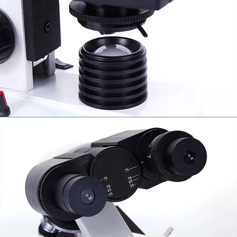 전문 생물 현미경 40X-2500X LED 디지털 쌍안경 복합 현미경 w 3D 무대 + 2MP USB 카메라