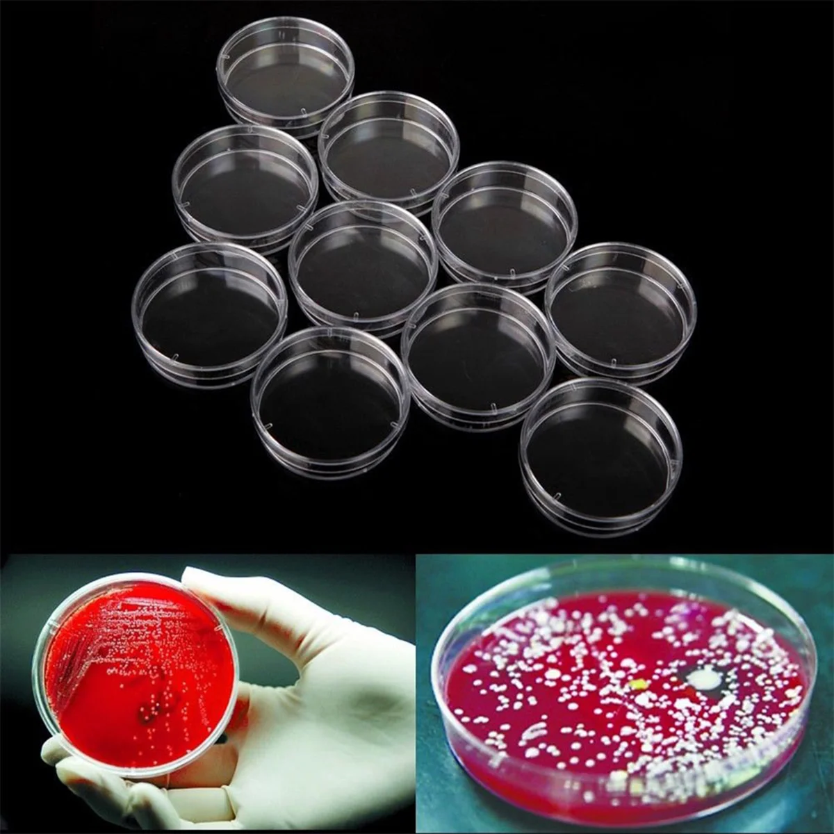 20pcs Petri Dish Set with Lids Culture for School Science Experiment Biology Microbiology Studies 60MM petri dishes