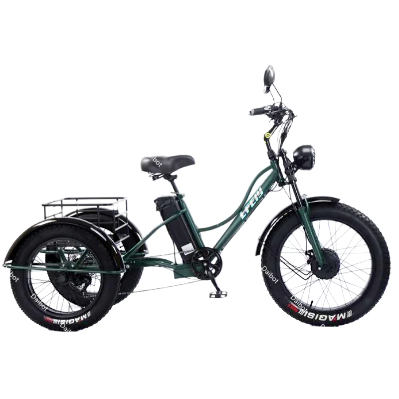Cargo 3-Rad-Elektrofahrrad 750 W mit Beifahrersitz für ältere Menschen Neues Elektrofahrrad Blau 48 V Fat Elektro-Dreirad mit Korb