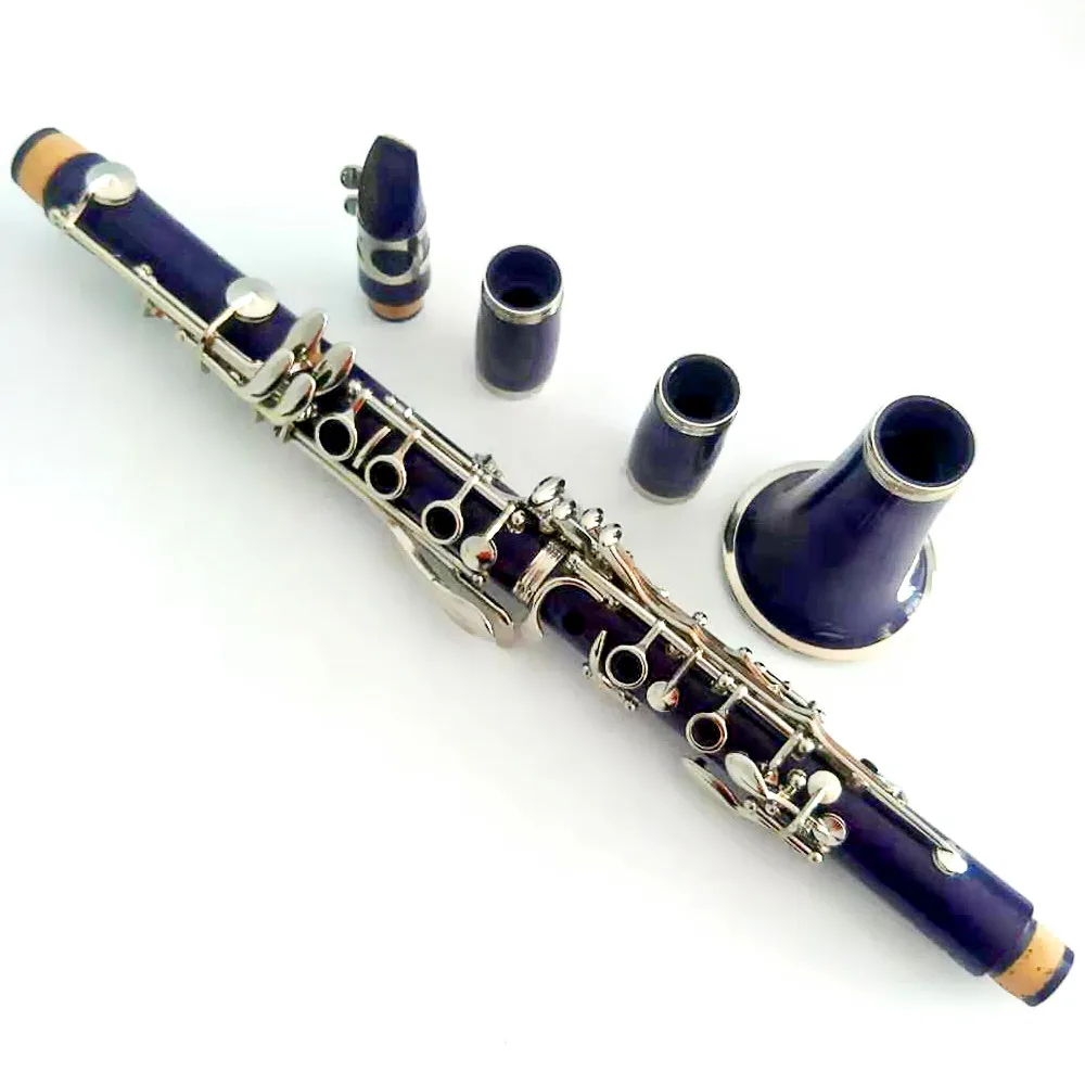 ABS 17Key Bb Clarinet instrument for sale