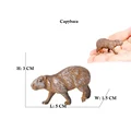 Capybara 4