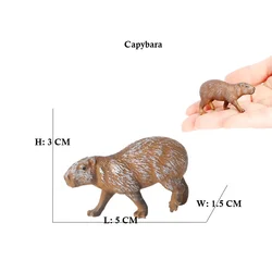 Capibara Wildlife Plastic Animal Figurines - Collectible Toy (Capybara 4)