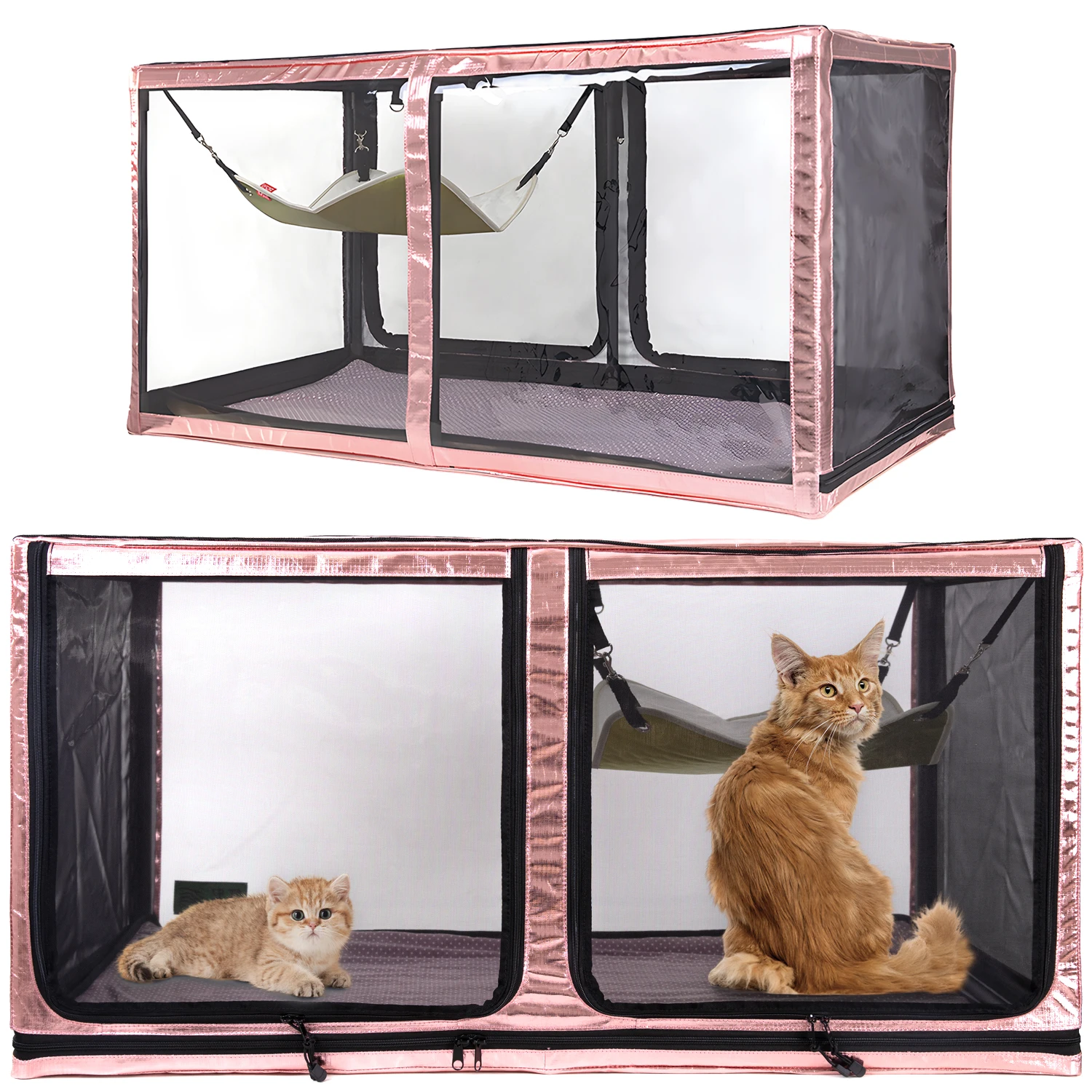 Cat Cage Competition Set Transparent 3D Display Free Offer Cat Hammock  Folding Litter Box - AliExpress